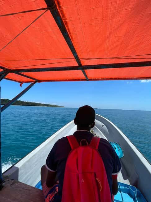 Swimming with dolphins in kizimkazi - The Value of the Tour: Price and Inclusions