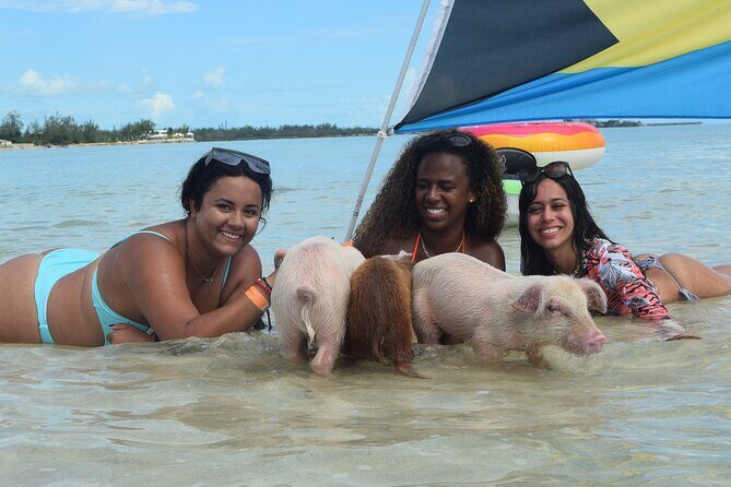 Swimming with Pigs in Nassau, Transportation Included - Practical Tips