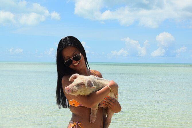 Swimming with Pigs in Nassau, Transportation Included - FAQ