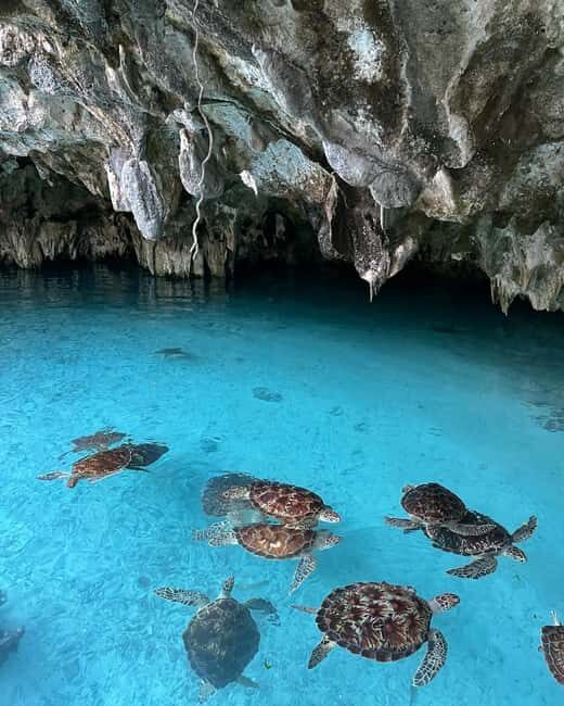 Swimming with sea turtles in salaam cave - Who Should Consider This Tour?
