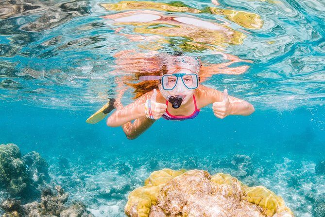 Swimming with the Whale Sharks - Ningaloo Reef (Exmouth) - What the Tour Includes and How It Fits into Your Day