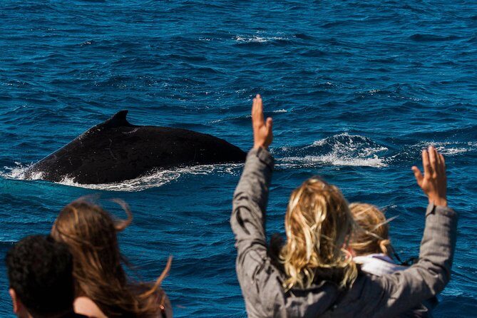 Swimming with the Whale Sharks - Ningaloo Reef (Exmouth) - Who This Tour Is Best For