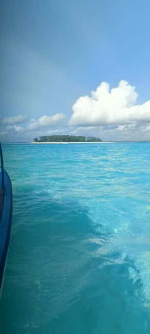 Swimming with tirltes at The Lagoons Zanzibar in Nungwi - Key Points