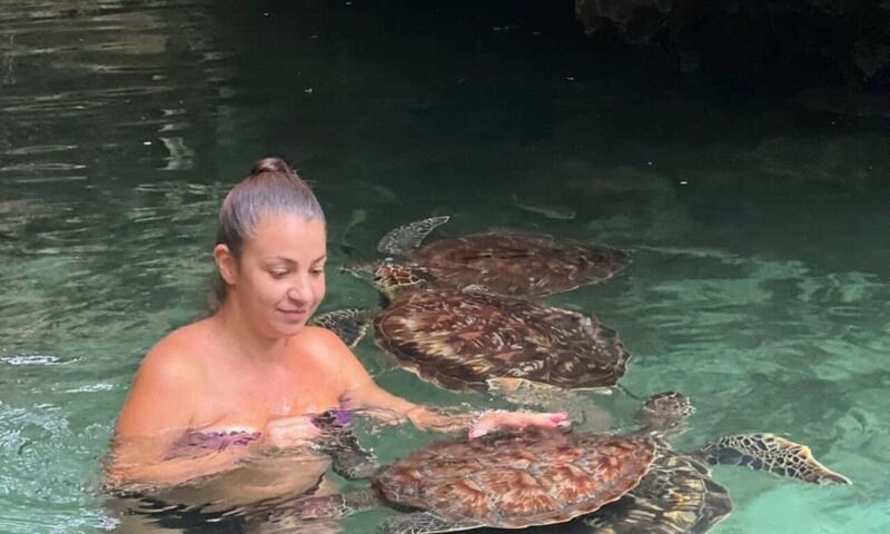 Swimming With Turtle at Baraka aquarium - Key Points