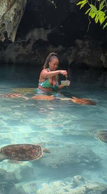 Swimming With Turtle at Baraka aquarium - Practical Details and Tips