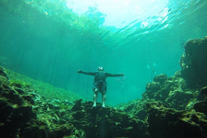 Swimming with turtles, 2 cenotes & gopro - What Reviewers Say