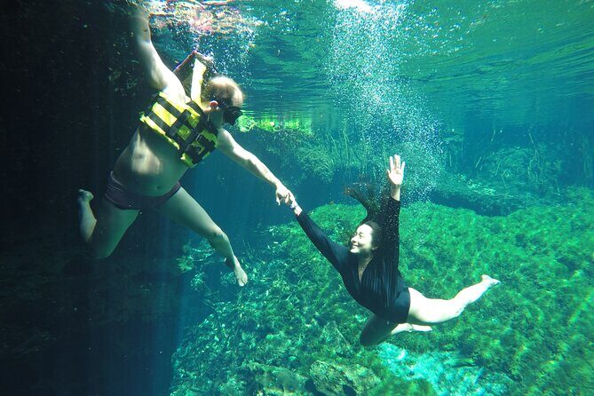 Swimming with turtles, 2 cenotes & gopro - FAQ