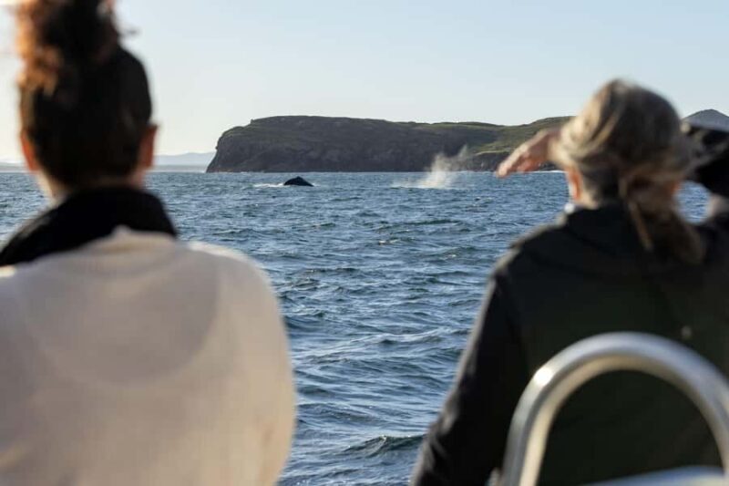 Sydney: 4-Day Tour with Hop-on Hop-off Bus & City Pass Combo - Why This Tour Works Well