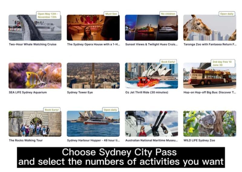 Sydney: 4-Day Tour with Hop-on Hop-off Bus & City Pass Combo - Who Will Love This Tour?