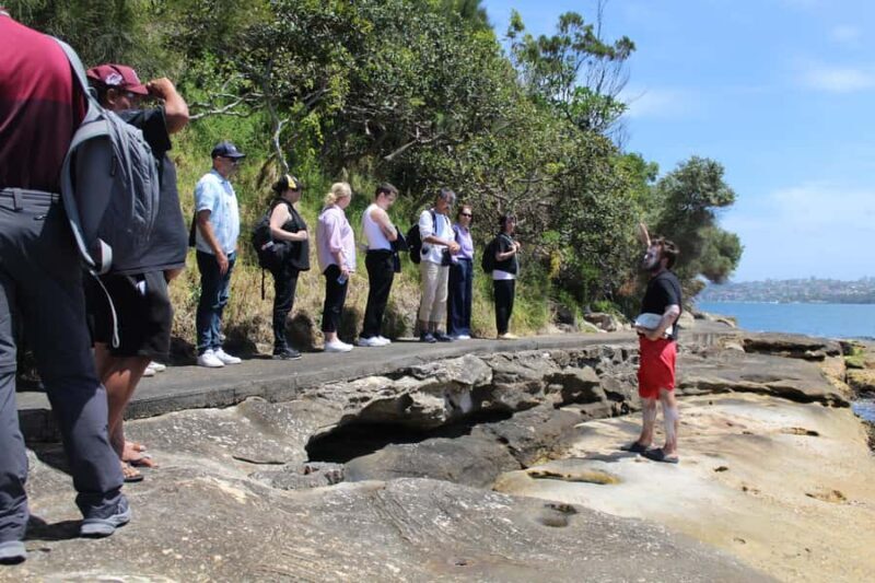 Sydney: Aboriginal Cultural Cruise with Clark Island Tour - The Sum Up: Who Should Consider This Experience?