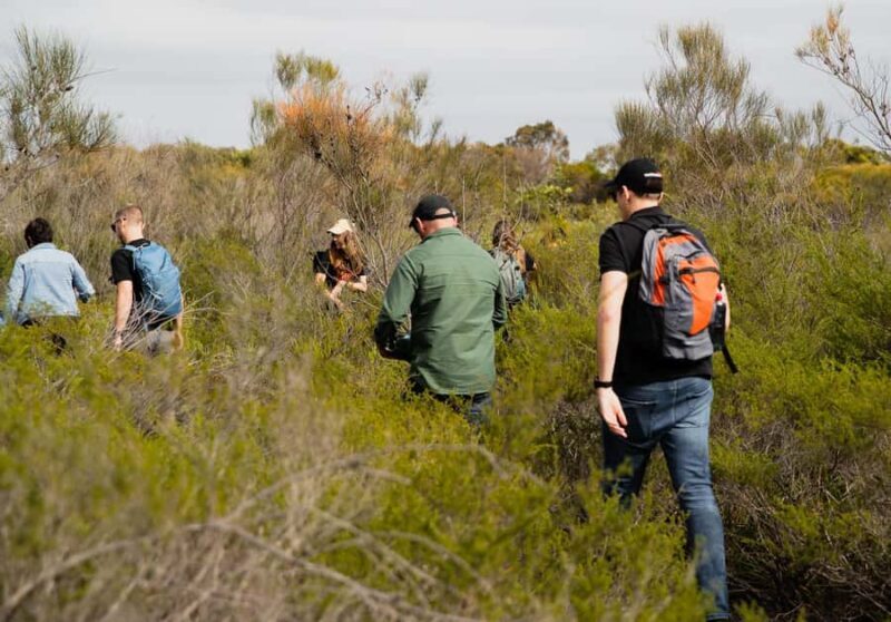 Sydney: Aboriginal Walking Tour with Smoking Ceremony - The Experience of a Guide-led Cultural Walk