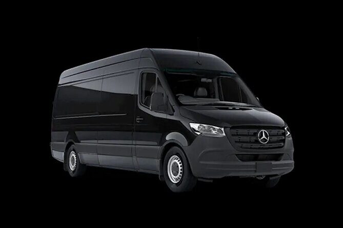 Sydney Airport Premium Transfer (Arrivals) - Who Should Consider This Transfer?