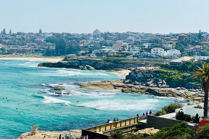 Sydney Beaches Half Day Drive and Walk Tour - Why Choose the Sydney Beaches Half Day Tour?