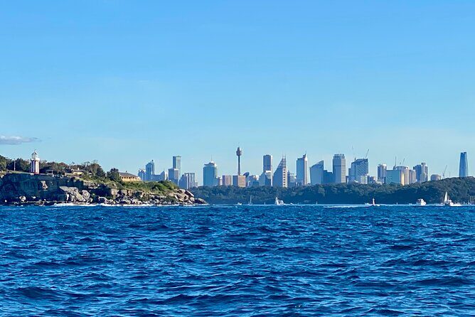 Sydney Beaches Half Day Drive and Walk Tour - How Do Travelers Feel About This Experience?