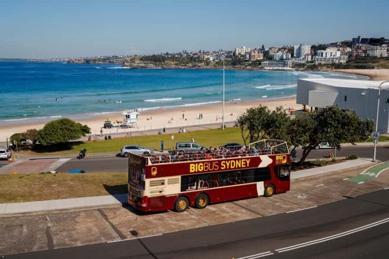 Sydney: Big Bus Hop-On Hop-Off Tour with Optional Cruise - The Sum Up