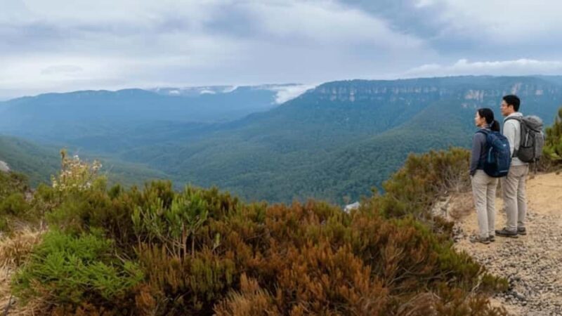 Sydney: Blue Mountains and F. Wildlife Park - Private Tour - Explore Australia’s Natural Wonders: The Sydney: Blue Mountains and Featherdale Wildlife Park Private Tour