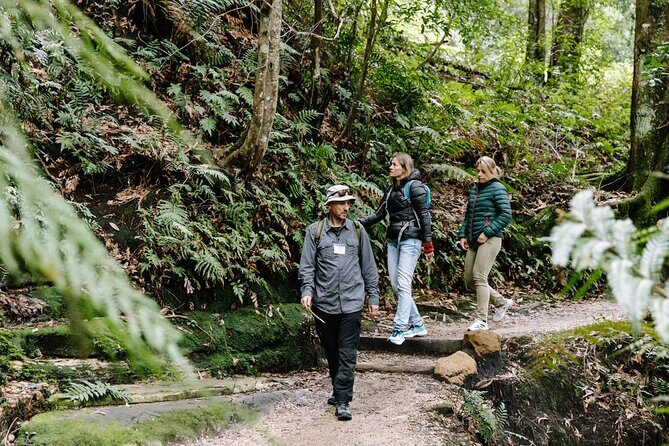 Sydney Blue Mountains Day Tour with Wildlife Park and Waterfalls - The Itinerary in Detail: What You Can Expect