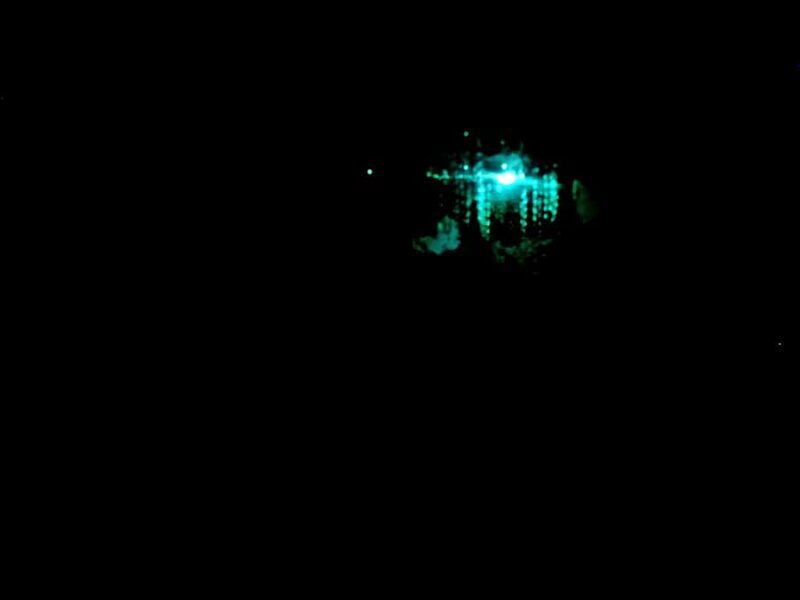 Sydney: Blue Mountains Glow Worms Wild Adventure by Night - The Guide: Antoine and Other Experts
