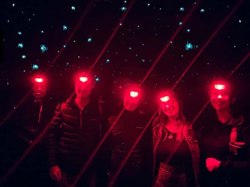 Sydney: Blue Mountains Glow Worms Wild Adventure by Night - What to Bring and What Not To