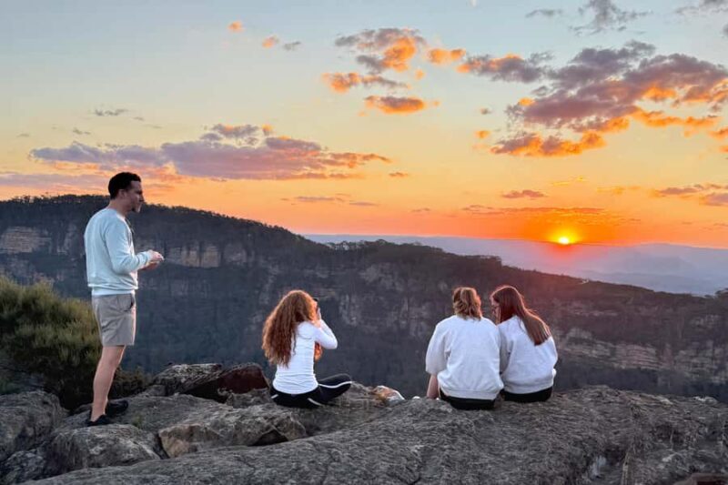 Sydney: Blue Mountains Kangaroos, Wilderness and Sunset Tour - Key Points