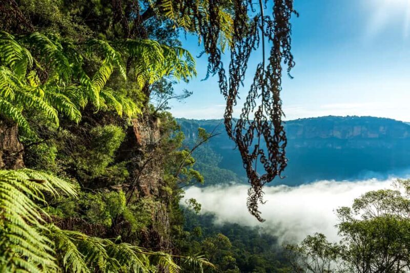 Sydney: Blue Mountains Late Start Tour with Walks & Wildlife - Who Will Love This Tour?