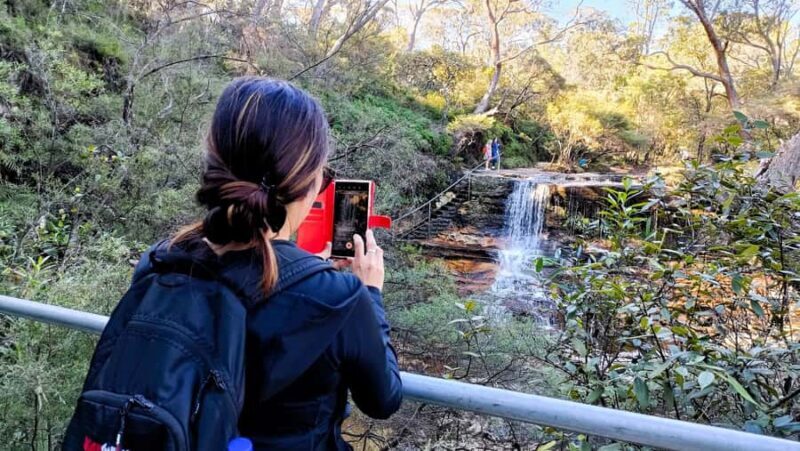 Sydney: Blue Mountains Late Start Tour with Walks & Wildlife - Final Recommendation