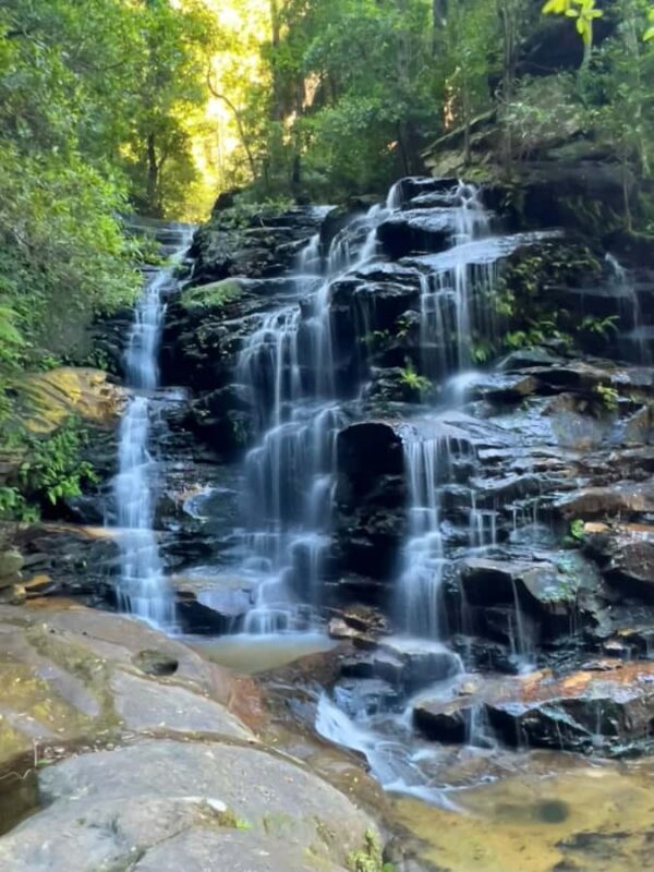Sydney: Blue Mountains Private Wildlife Adventure Tour - The Experience Provider: Your Sydney Guide