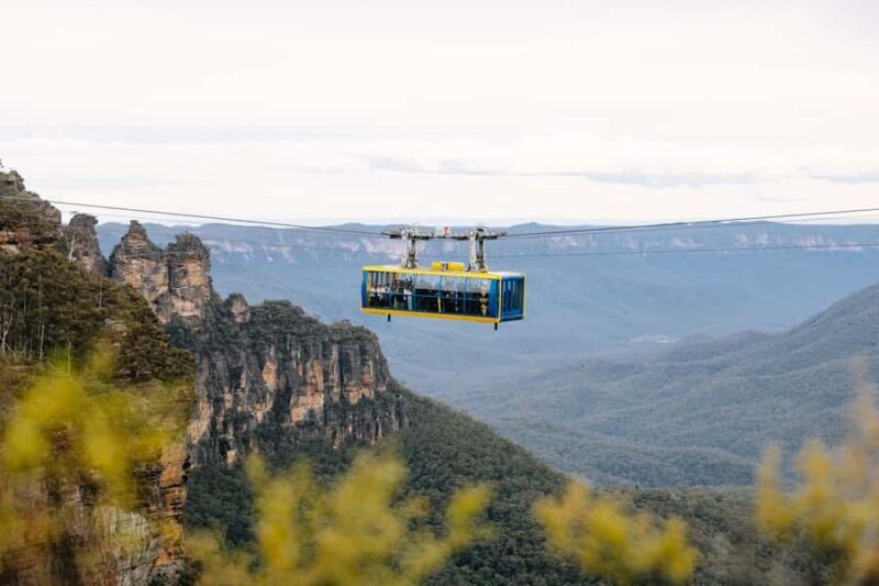 Sydney: Blue Mountains Scenic World, Wildlife Park and Lunch - A Practical Introduction to the Blue Mountains Tour