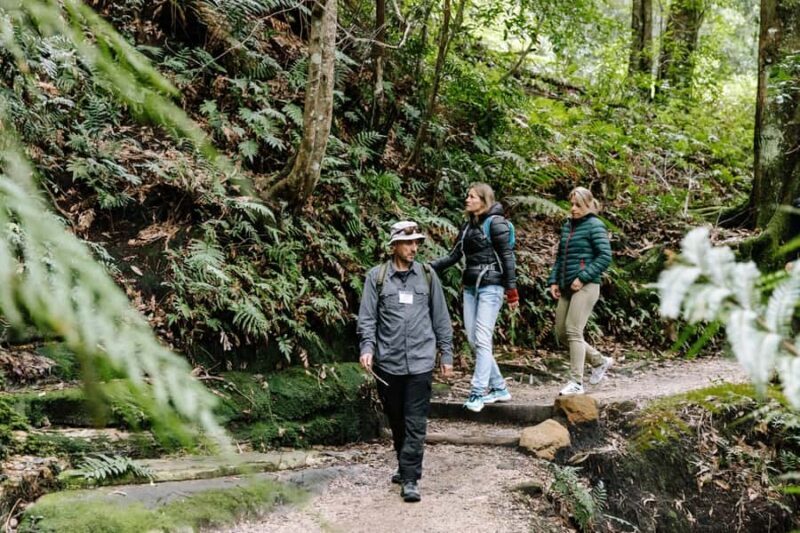 Sydney: Blue Mountains Tour with Wildlife Park & Waterfalls - Key Points