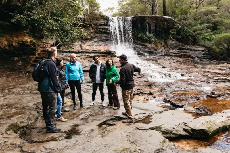 Sydney: Blue Mountains Wildlife & Bushwalk Small-Group Tour - Value for Money