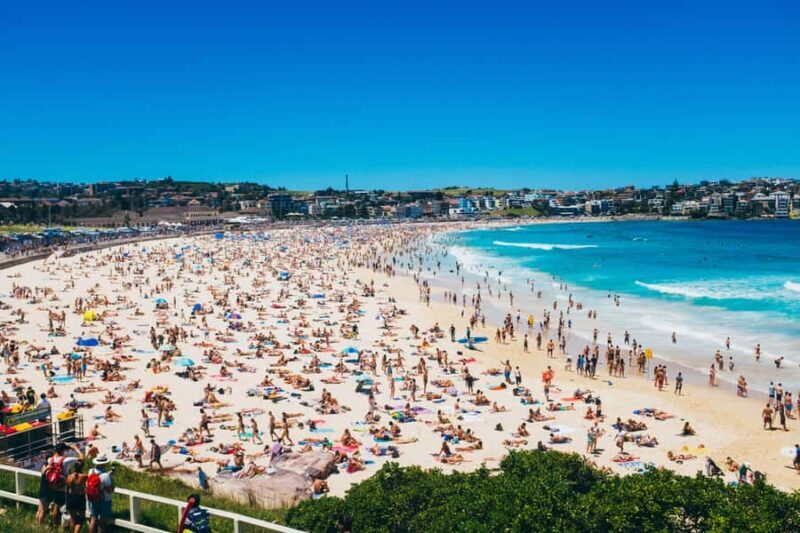 Sydney: Bondi Beach, Opera House & Sydney City Private Tour - An Introduction to the Tour Experience