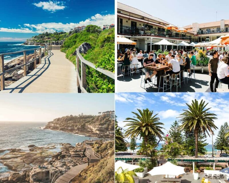 Sydney: Bondi to Coogee Hike with picnic lunch at Coogee - An In-Depth Look at the Bondi to Coogee Coastal Walk