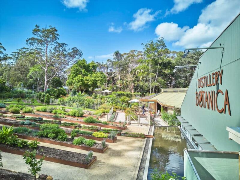 Sydney: Central Coast Day Trip with Wildlife Sanctuary - Who Is This Tour Best For?