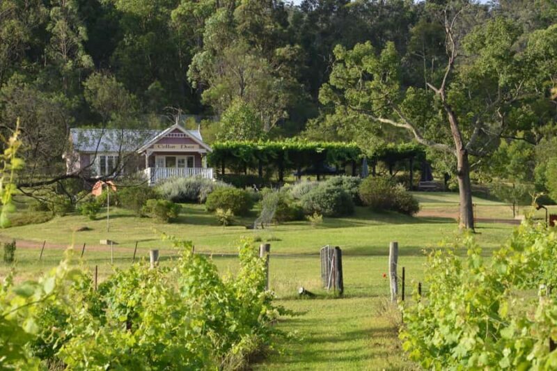 Sydney: Chef-Led Hunter Valley Food & Wine Tour - Key Points