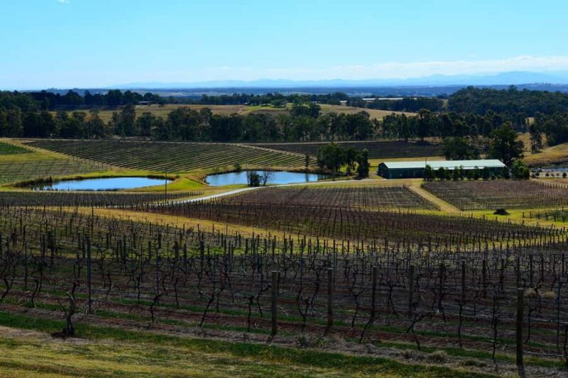 Sydney: Chef-Led Hunter Valley Food & Wine Tour - Introduction