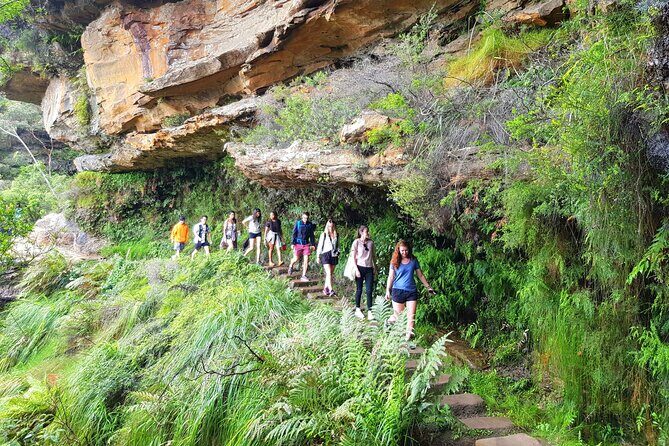 Sydney City and Surrounding Sightseeing Day Tour - Reviews Reflecting the Experience
