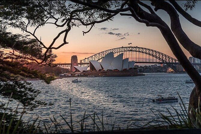 Sydney City Hidden Gem Half Day Small Group Tour - The Sum Up: A Solid Choice for Authentic, Scenic Sydney