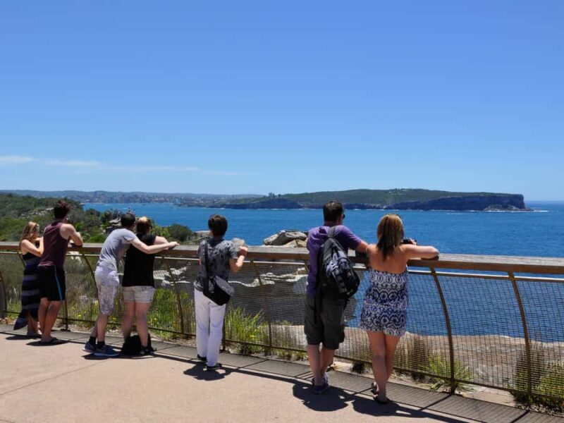 Sydney: City Highlights Guided Bus Tour - The Transport and Guide