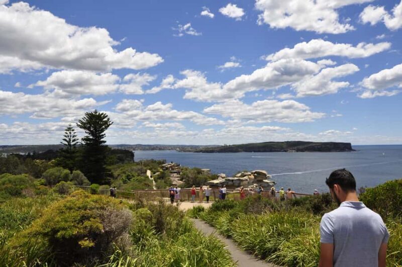 Sydney: City Highlights Guided Bus Tour - The Sum Up
