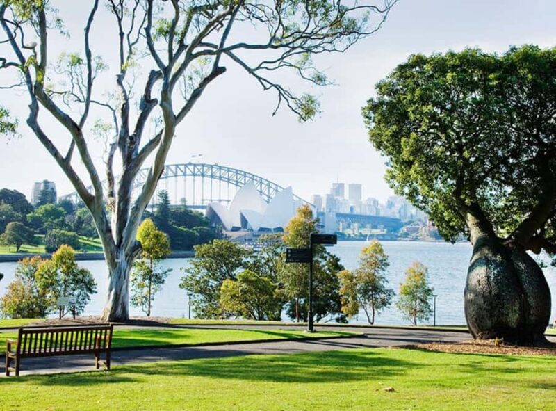Sydney: City Hike with Opera Bar Lunch - Authentic Insights from Past Participants