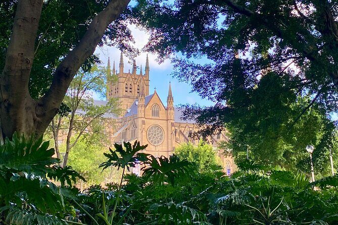 Sydney City Walking Tour - An Honest Look at the Sydney City Walking Tour