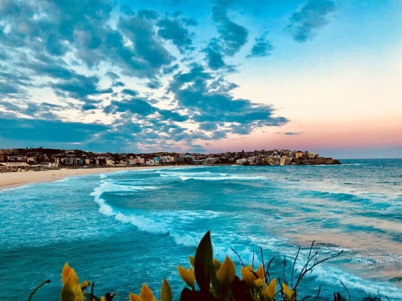 Sydney Coastal Highlights and Ferry Ride Half Day Tour - Final Thoughts