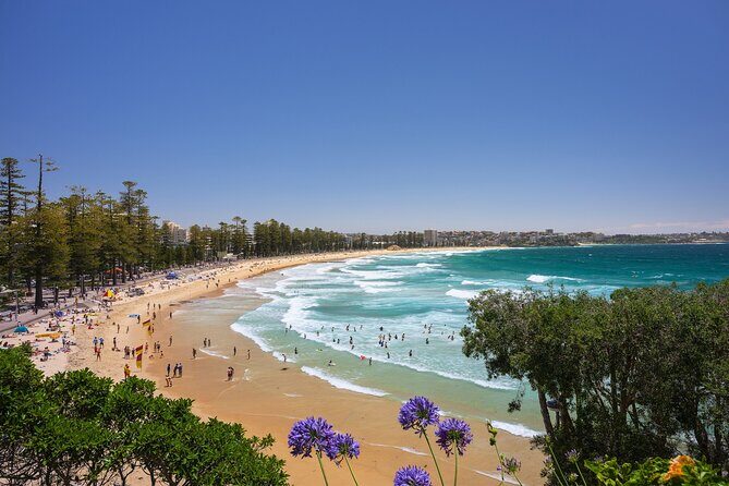 Sydney Coastal Walk Beaches Forts and Scenic Views - Final Thoughts