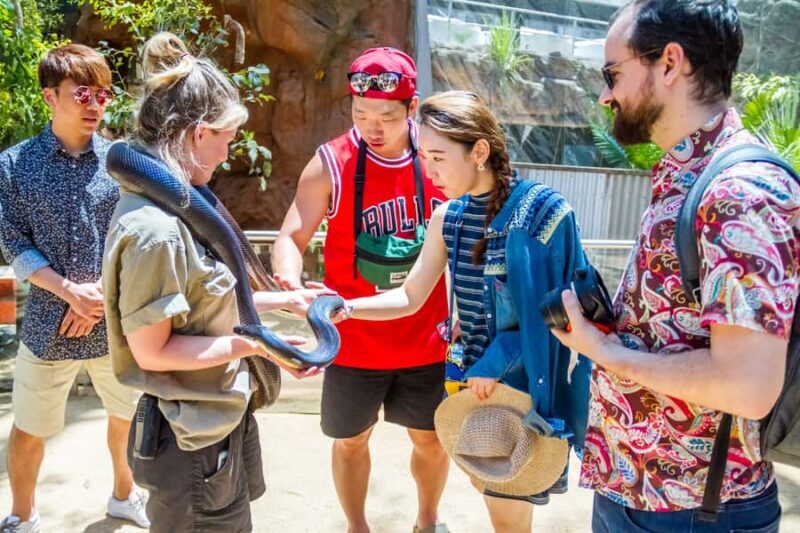 Sydney: Combo Pass for 2, 3, or 4 Top City Attractions - Key Points