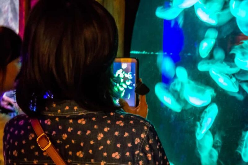 Sydney: Combo Pass for 2, 3, or 4 Top City Attractions - The Sum Up