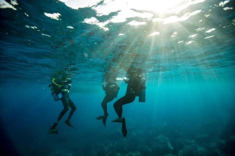 Sydney: Discover Scuba Dive at Australia's most Iconic Beach - Key Points