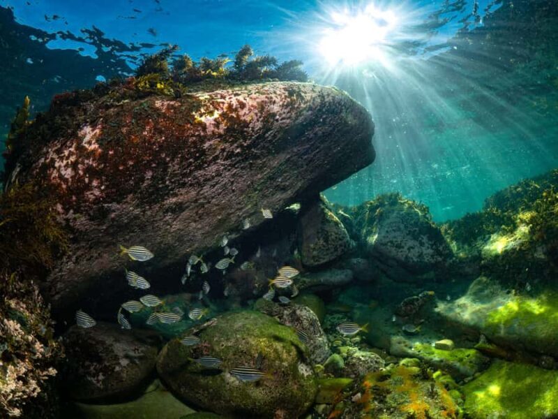 Sydney: Discover Scuba Dive at Australia's most Iconic Beach - The Sum Up