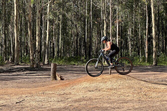 Sydney Electric Mountain Bike Guided Tour - The Value Proposition: Why This Tour Stands Out