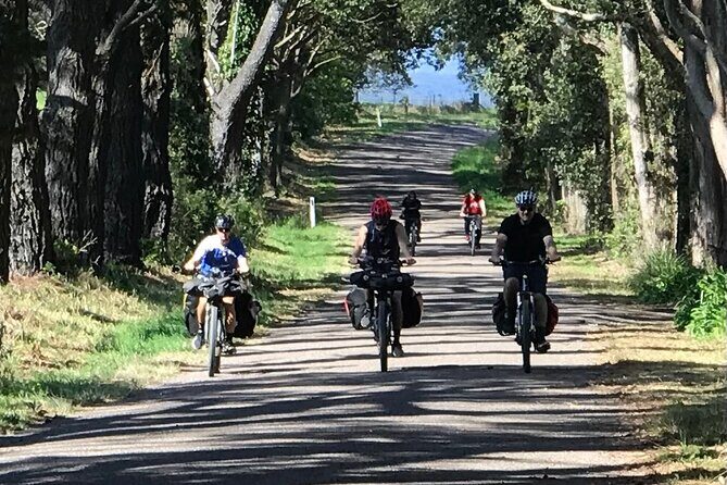 Sydney Electric Mountain Bike Guided Tour - Who Should Consider This Tour?