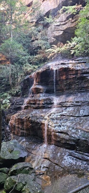 Sydney: English or German Private Blue Mountains Tour - What Makes This Tour Stand Out?